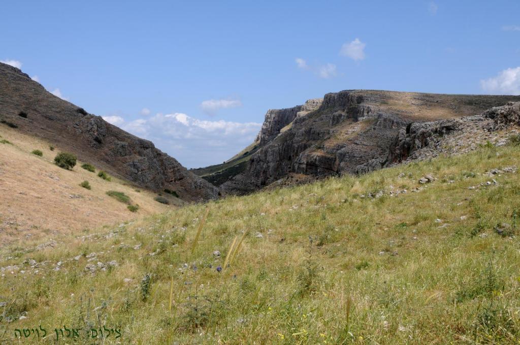 Arbel Guest House Shavit Family Bagian luar foto